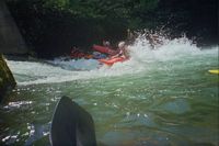Surf sul rullo
