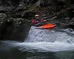 VIDEO 834.50Kb
