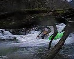 VIDEO 1.55Mb
