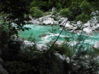 Immagine 513,60Kb