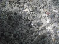 Immagine 381,02Kb