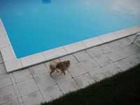 Immagine 422,83Kb