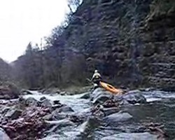 VIDEO 807,79Kb