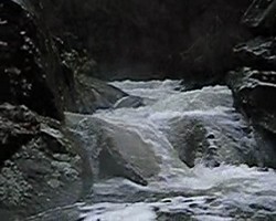 VIDEO 1,02Mb