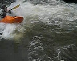 VIDEO 1,29Mb