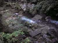 Immagine 369,10Kb