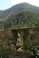 Immagine 571,78Kb