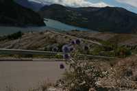 Immagine 495,85Kb
