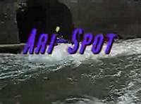 Ari Spot