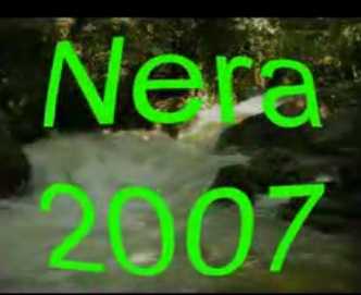 Nera2007