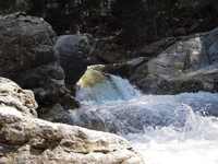 Immagine 1,87Mb