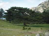 Immagine 1,84Mb