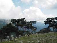 Immagine 1,95Mb