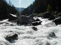 Immagine 75,35Kb
