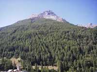 Immagine 96,26Kb