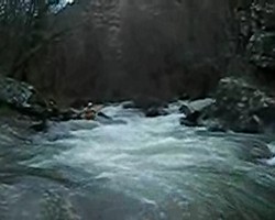 VIDEO 1,43Mb