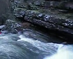 VIDEO 1,35Mb