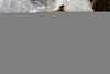 Immagine 56,24Kb