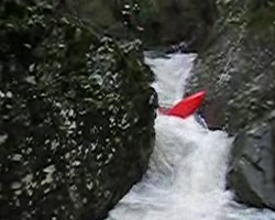 VIDEO 492,05Kb