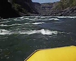 VIDEO 1,68Mb