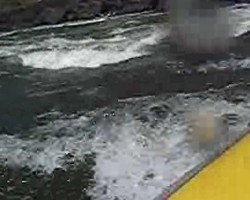 VIDEO 970,05Kb