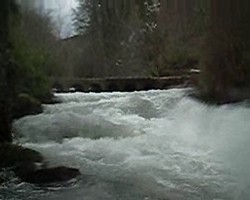 VIDEO 926,20Kb
