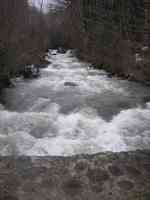 Immagine 262,65Kb