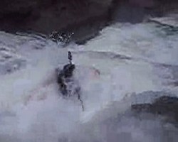 VIDEO 461,35Kb