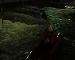 VIDEO 2,03Mb