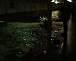 VIDEO 492,05Kb