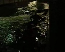 VIDEO 325,41Kb