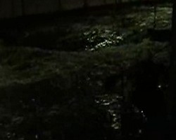 VIDEO 513,98Kb