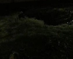 VIDEO 584,15Kb
