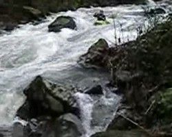 VIDEO 877,96Kb