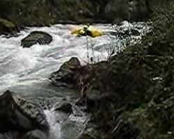 VIDEO 540,28Kb