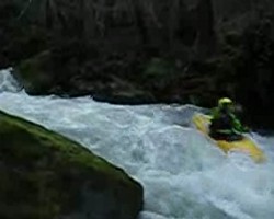 VIDEO 1,17Mb