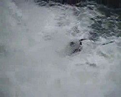 VIDEO 579,76Kb