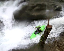 VIDEO 2,39Mb